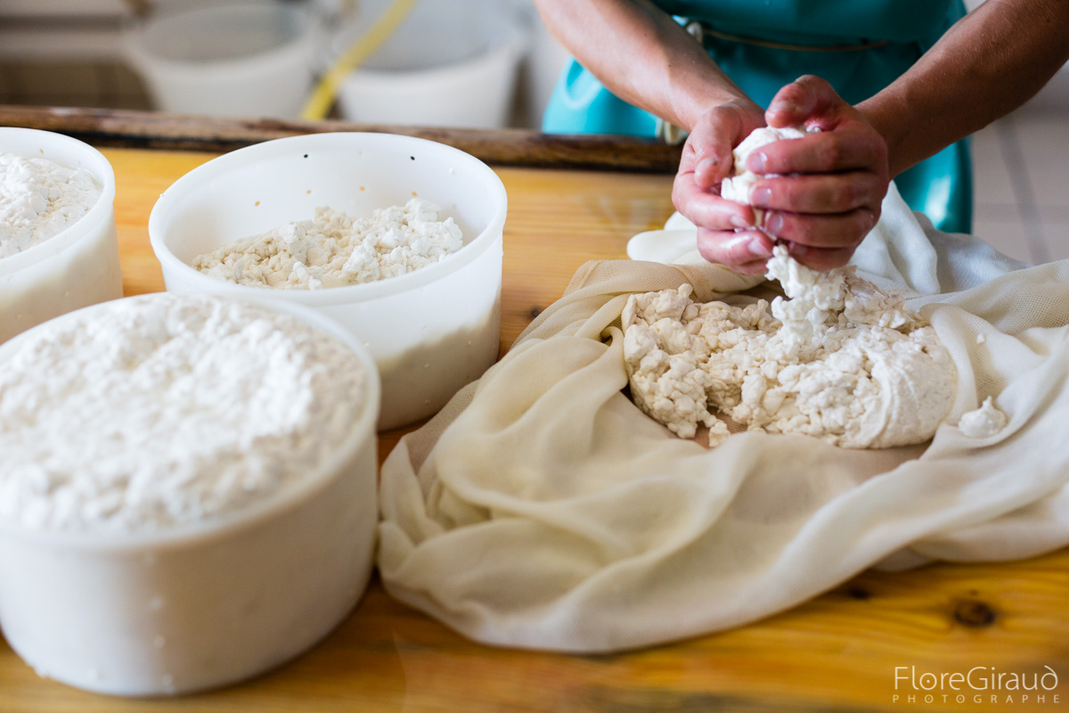 Pratiques et savoirs alimentaires et culinaires dans le Massif d