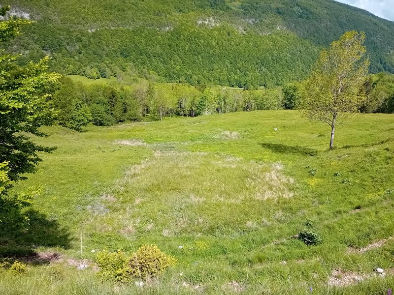 Double ZH : Zones Humides, Zones (H)importantes I Rendez-vous Nature en Savoie_Aillon-le-Jeune