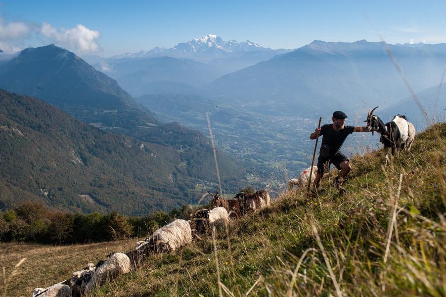 Soirée ciné-débat "Parlons vrai - Alpage"_Barby