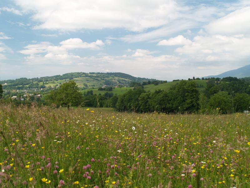 Poèmes en prairie fleurie l Renc'Arts du Parc_Pugny-Chatenod