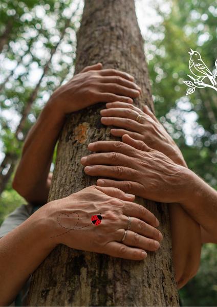 Sentir et toucher le vivant au Bout du Lac l Renc'Arts du Parc_Doussard