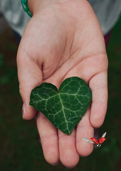 Sentir et toucher le vivant au Bout du Lac l Renc'Arts du Parc_Doussard