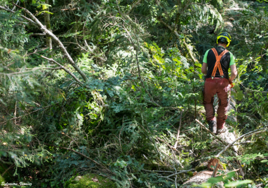 Vis ma vie de Bûcheron_Le Châtelard